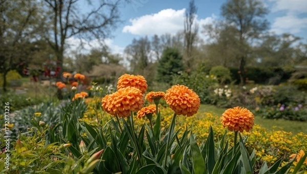 Fototapeta Vibrant Spring Blooms in a Garden Setting, Seasonal Change