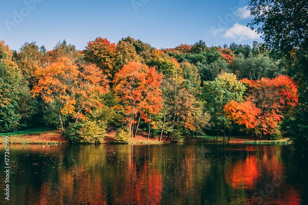 Obraz Autumn colorful forest reflected in the lake.
