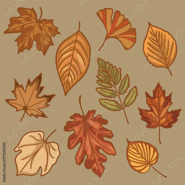 Obraz Cozy Fall Leaf Illustration Collection