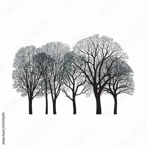 Fototapeta lonely winter tree silhouette on white background