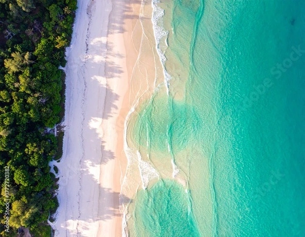 Obraz Pristine white sand beach meets the crystal clear turquoise ocean, bordered by a lush green tropical forest in an aerial top-down view