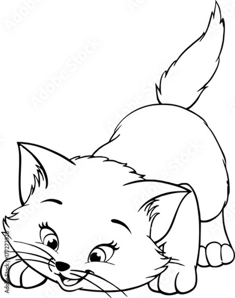 Fototapeta Cute kitten