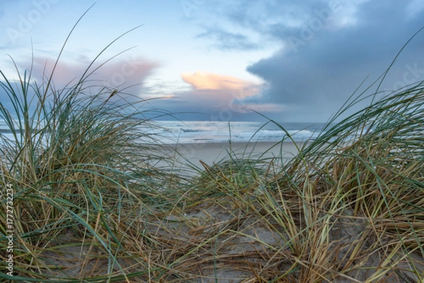 Fototapeta Beach grass and ocean view. Tall dune grass sways in the wind overlooking the sea. The cloudy sky glows faintly with the last light of the day.