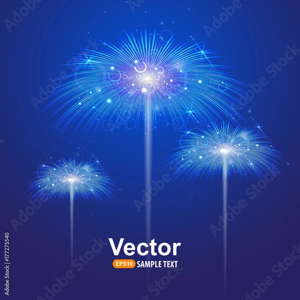 Fototapeta Vector salute firework