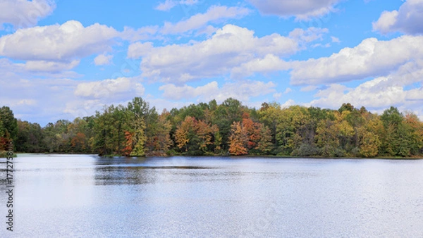Fototapeta Colorful Trees by Stanfield Lake on a Clear Autumn Day