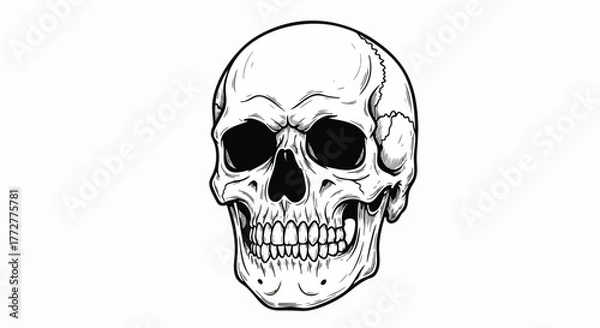 Obraz Striking black and white line art illustration of a human skull with an intense, menacing expression, perfect for graphic design or tattoo concepts
