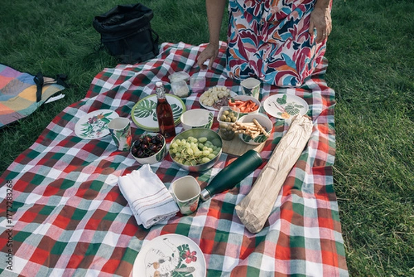 Fototapeta Family enjoying a picnic outdoors with food and drinks on a checkered blanket