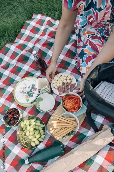 Fototapeta Mother preparing a picnic spread with healthy food on a checkered blanket in a park