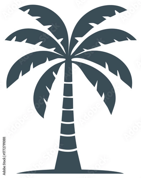 Obraz Stylized Silhouette of a Tropical Palm Tree with Broad Fronds