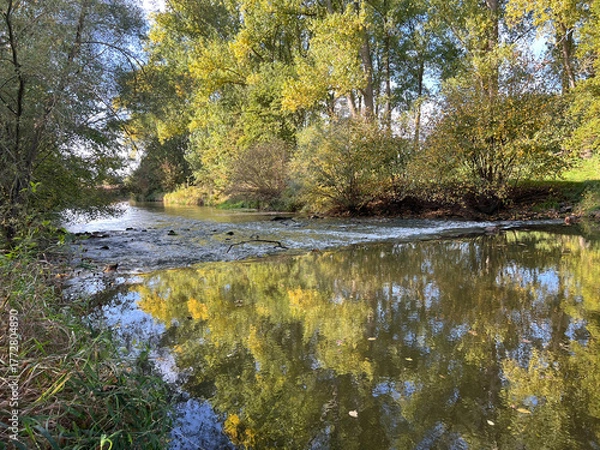 Obraz river with streaming water in the wood
