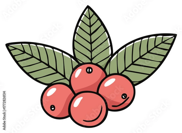 Obraz Stylized illustration of four red berries with green leaves in a cluster