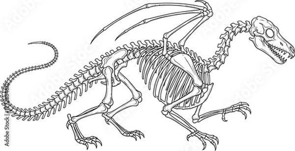 Fototapeta Dragon skeleton bones fantasy mythical creature drawing anatomy extinct art