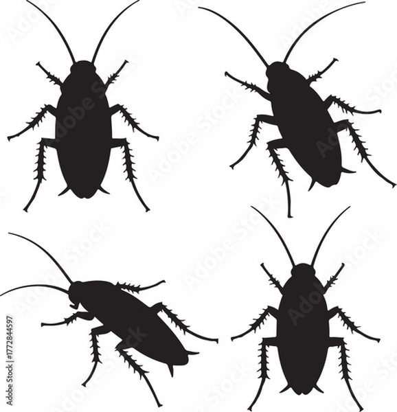 Obraz set of silhouette cockroch