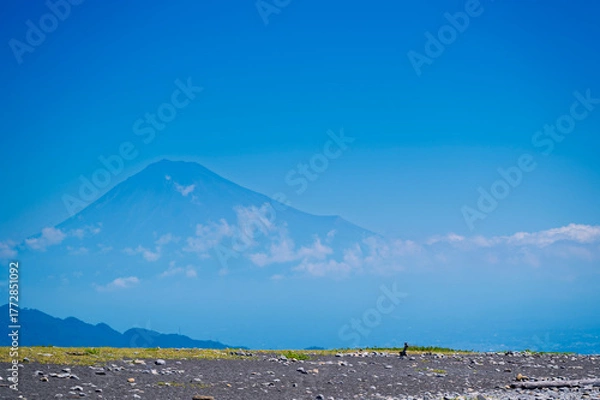 Obraz Miho no Matsubara (Pinery of Miho) and Fuji Mountain is scenic area on the Miho Peninsula in Shimizu, Shizuoka City, Japan