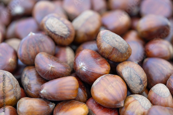 Fototapeta Shiny brown chestnuts in a generous heap at a farmers’ market; selective focus adds depth and warmth for fresh produce, autumn cooking and organic fruits lifestyle themes.
