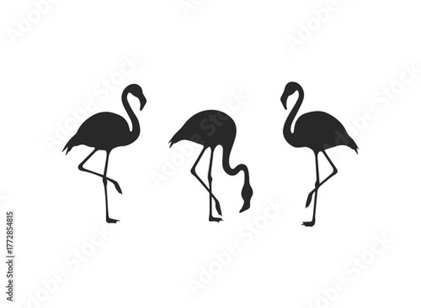 Obraz Three Elegant Flamingo Silhouettes Vector Illustration