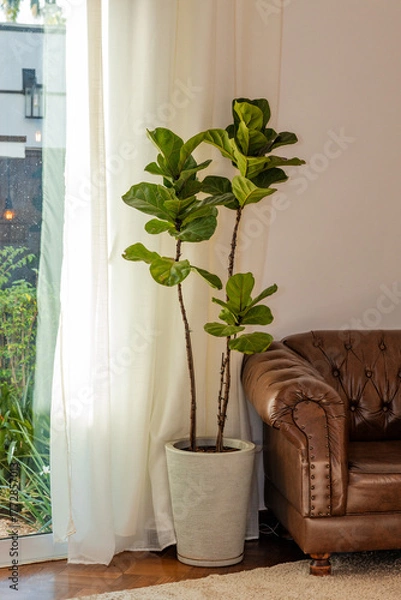 Fototapeta modern living room