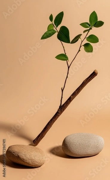 Fototapeta Minimalist arrangement featuring branch, leaves, and stones against warm backdrop