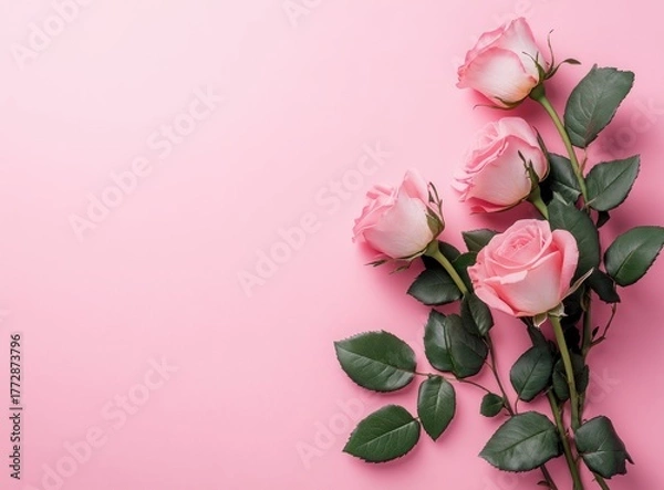 Fototapeta Elegant Pink Roses on a Soft Pink Background with Copyspace for Valentine's Day