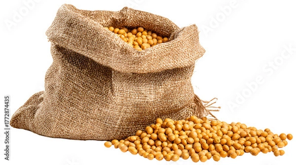 Obraz Burlap sack overflowing with golden soybeans on a dark background