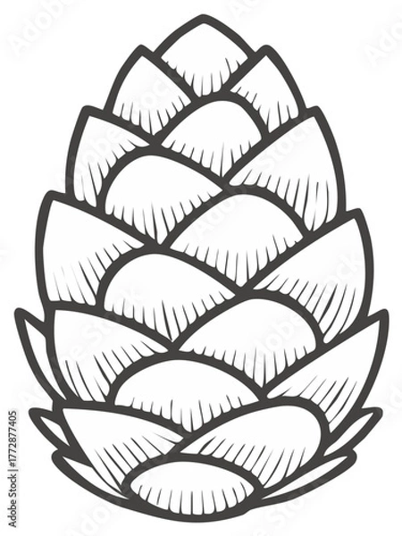 Fototapeta Stylized Outline Pinecone Illustration in Simple Black and White for Holiday and Nature Themes