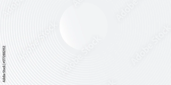 Fototapeta White illustrations geometric abstract background overlap layer on bright space with lines effect circles line good