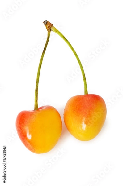 Obraz Cherries isolated on the white background