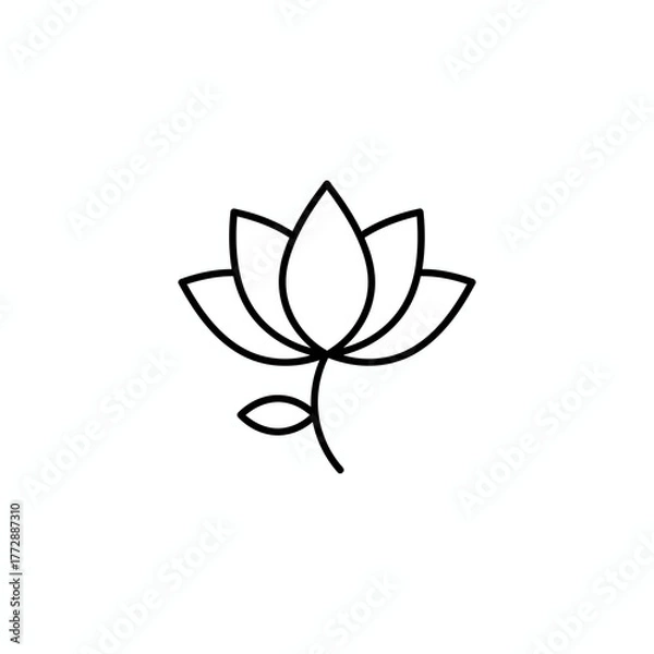 Obraz lotus flower vector