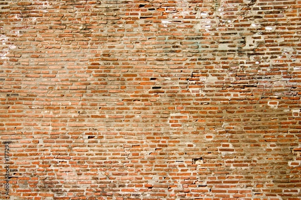 Obraz brick wall