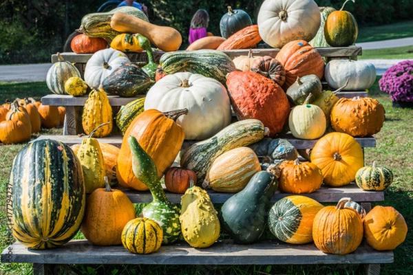 Fototapeta Fall Harvest