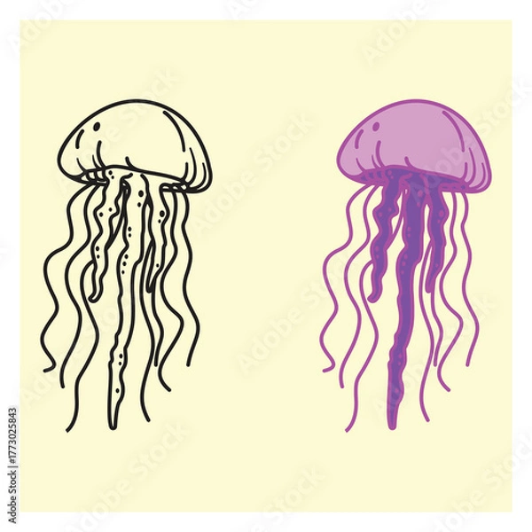 Fototapeta vector illustration of jellyfish - colored and outline version