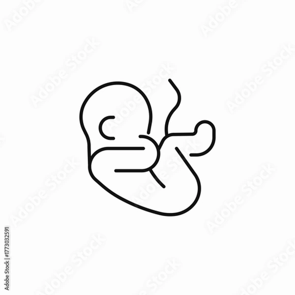 Fototapeta fetus umbilical cord icon sign vector