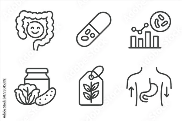 Fototapeta Nutrition Science Icons. Line style icons of nutrition science: gut health and probiotics, probiotic capsule icon, gut bacteria