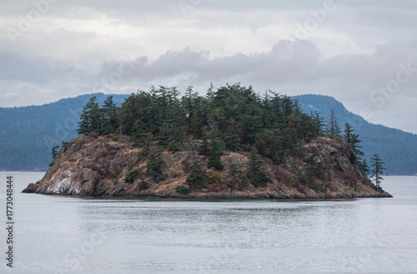 Fototapeta Small Island in Pacific Northwest