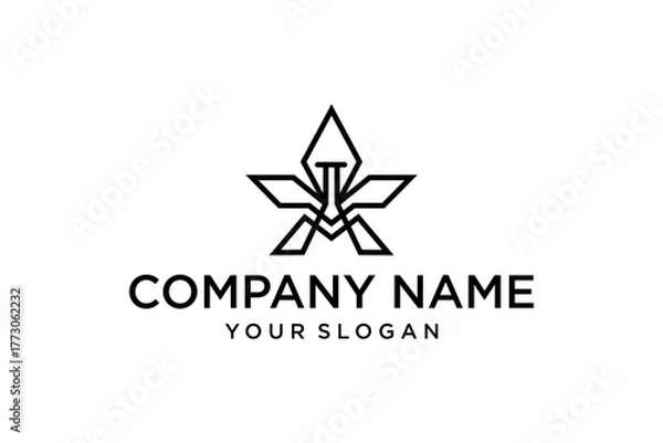 Fototapeta Geometric Line Art Star Logo with Abstract Initials for Modern Business Branding