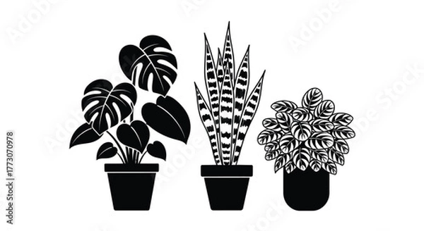 Fototapeta Three stylized potted houseplants are silhouetted against a white background, showcasing their distinct foliage and forms.