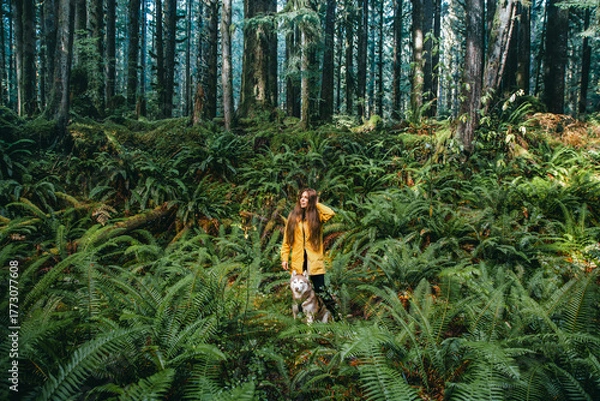 Fototapeta Yellow Jacket Hiker with Husky in Fern-Filled Forest Clearing