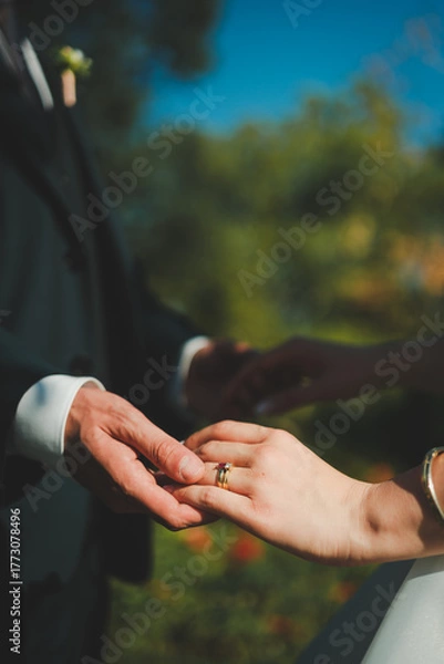 Obraz bride and groom holding hands