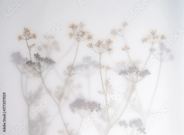 Obraz Pressed Dried Flowers as Dreamy Background