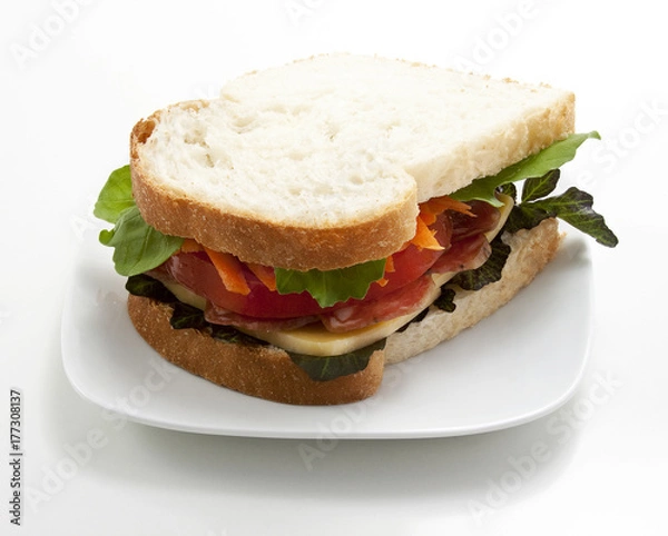 Fototapeta Sanduiche