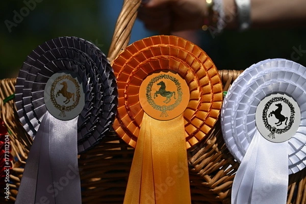 Obraz Siegerschleifen