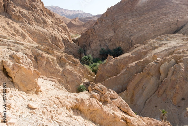 Fototapeta Beautiful eroded hills at Chebika canyon with palm trees. Tunisia