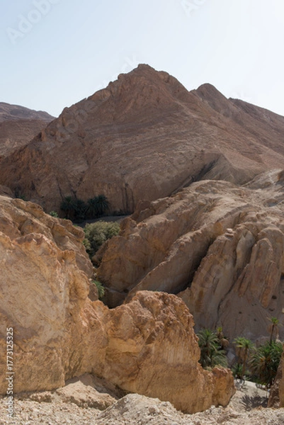 Fototapeta Beautiful eroded hills at Chebika canyon with palm trees. Tunisia