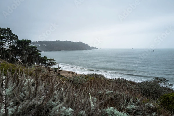 Obraz San Francisco Coast