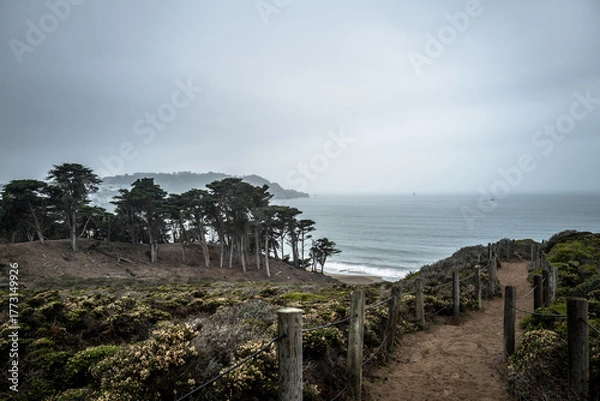 Fototapeta San Francisco