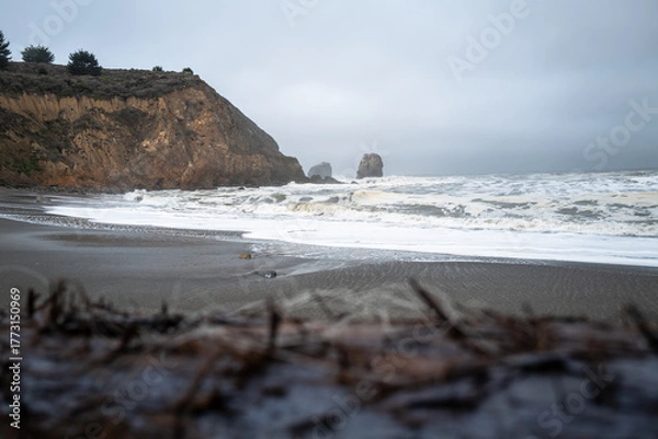Fototapeta Pacific California