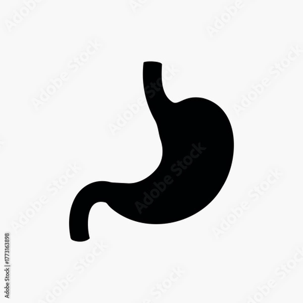 Obraz Human stomach silhouette vector illustration design on white background. Stomach silhouette vector icon 