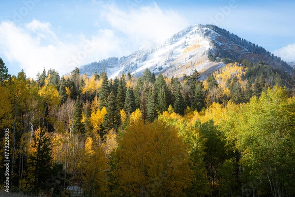 Obraz Mountain Snow 2