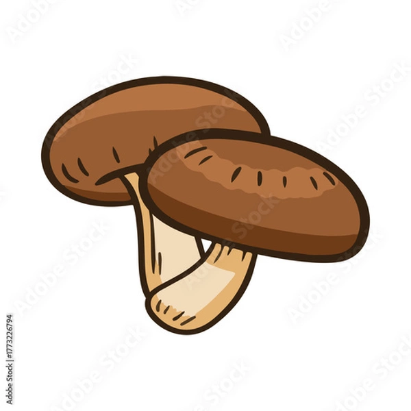 Fototapeta mushroom-27