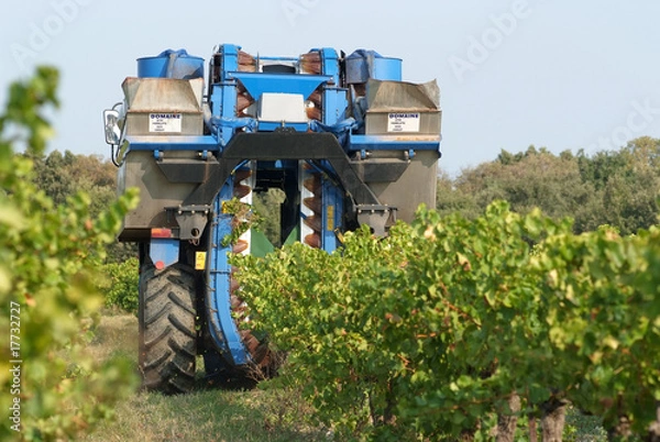 Obraz machine pour vendanger